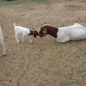 Meet your Posher, Ethan